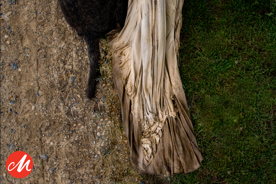 Dioni Gallardo Heijen