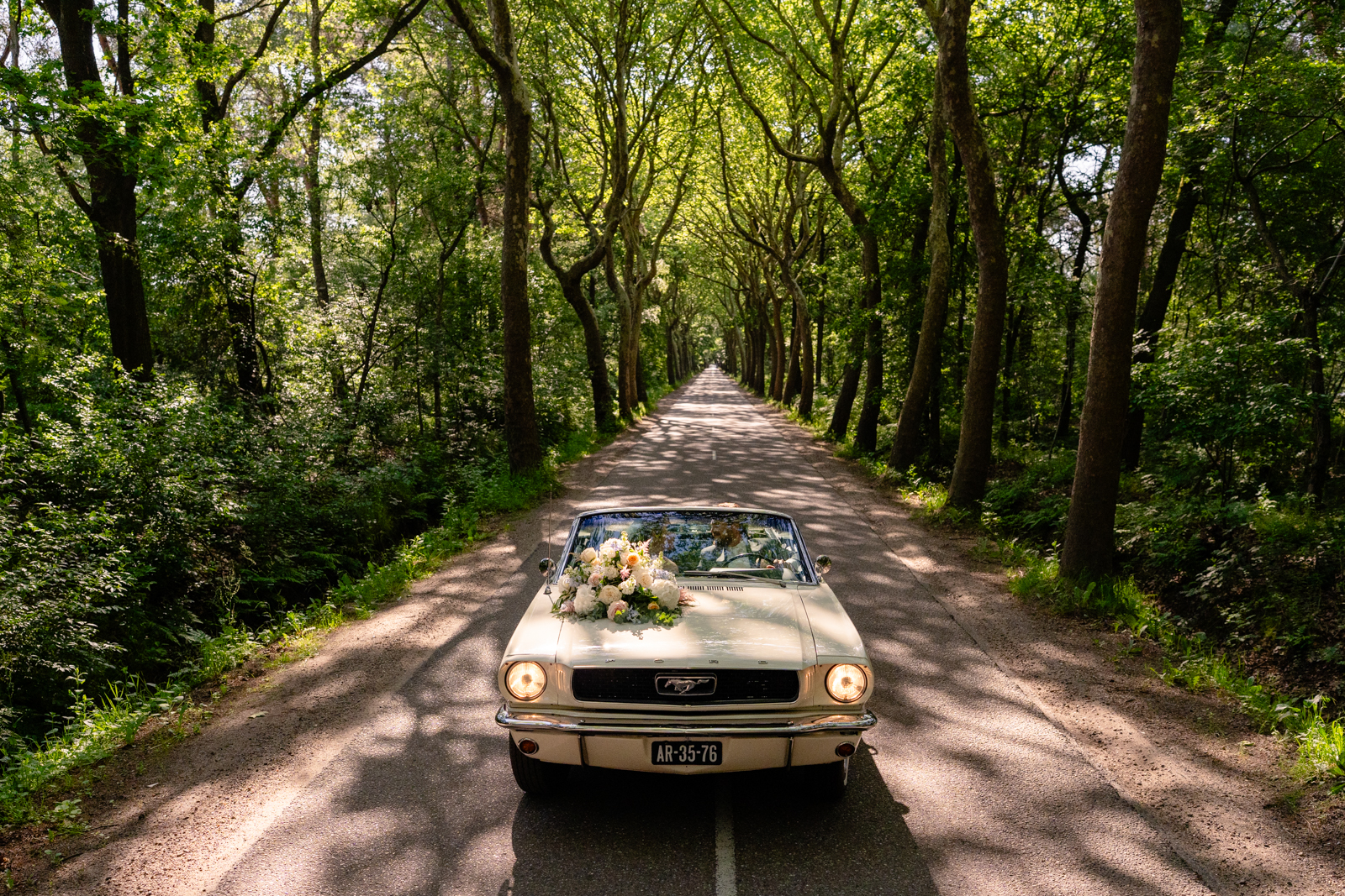 Jan-Dijkstra-JDFotografie-Landgoed-de-Salentein-5